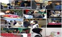 تشدید نظارت و بازرسی کارشناسان بهداشت محیط شبکه بهداشت و درمان شهریار در روز تاسوعا و عاشورای حسینی