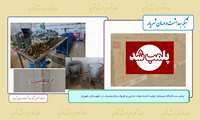پلمب سه کارگاه غیرمجاز تولید کننده مواد غذایی و ظروف یکبارمصرف در شهرستان شهریار