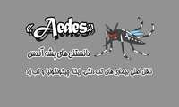 همه چیز درباره پشه آئدس