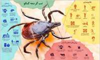 بیماری تب خونریزی دهنده کریمه کنگو 