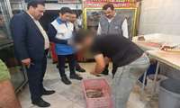 تشدید نظارت و انجام گشت مشترک از فروشگاه های عرضه کننده مواد غذایی و محصولات پروتئینی در آستانه روز طبیعت