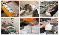 تشدید نظارت‌های بهداشتی در صباشهر؛ ۱۱۴ کیلوگرم مواد غذایی غیرمجاز در راستای طرح «شهر سالم» معدوم شد