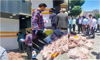 تشدید نظارت‌های هدفمند بر فعالیت واحدهای صنفی و مراکز عرضه مواد غذایی در صباشهر