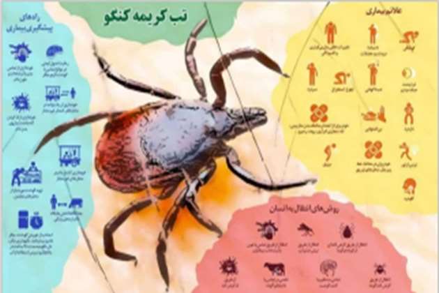بیماری تب خونریزی دهنده کریمه کنگو 