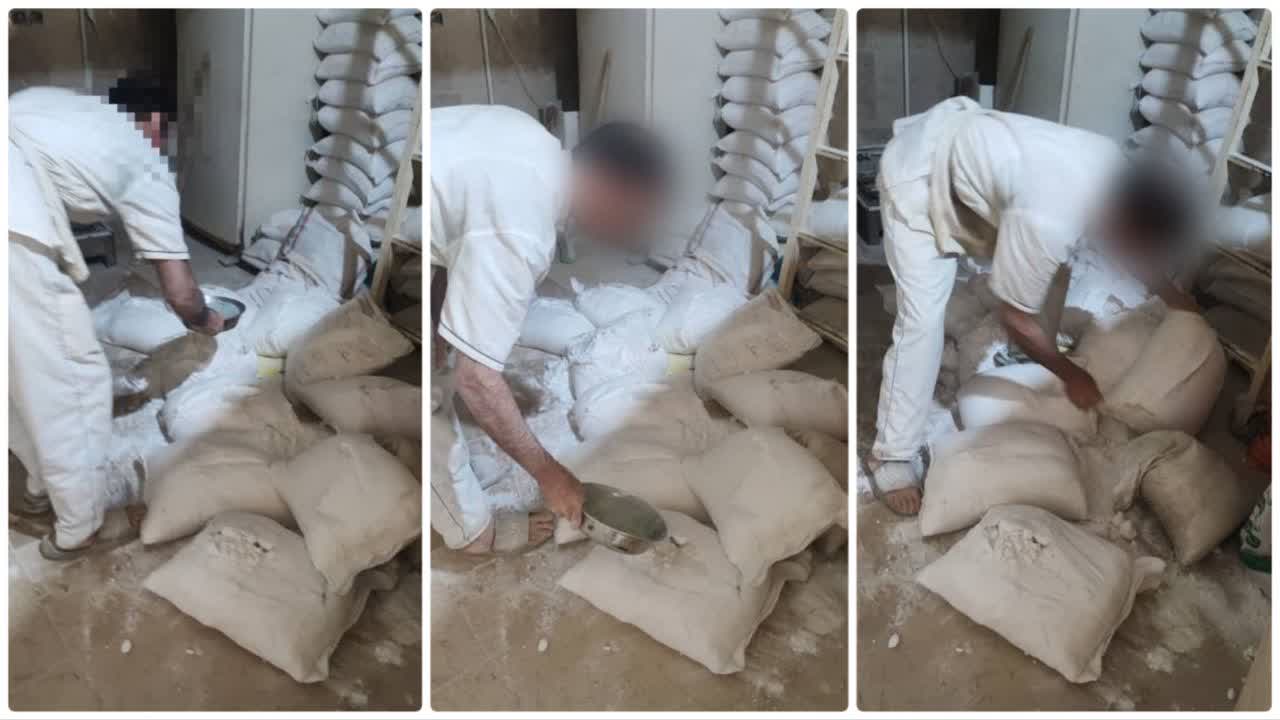 جمع آوری و معدوم سازی 350 کیلوگرم نمک تصفیه نشده و کنجد سیاه 