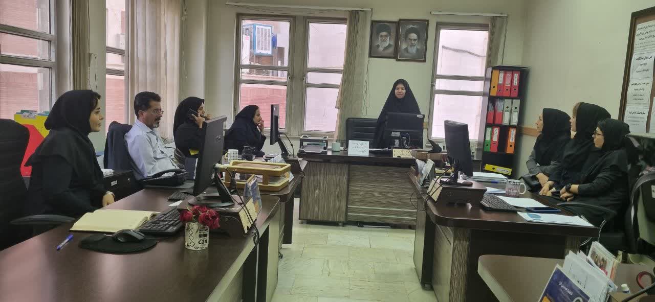 آمادگی در بحران؛ برگزاری کارگاه آموزشی در خصوص سلامت سالمندان در شرایط جنگ و شرایط اضطراری