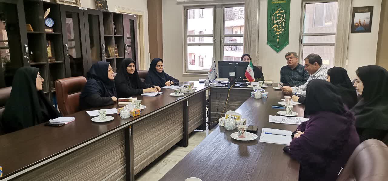 سومین کارگروه پیشگیری و مقابله با سقط عمدی جنین برگزار شد 