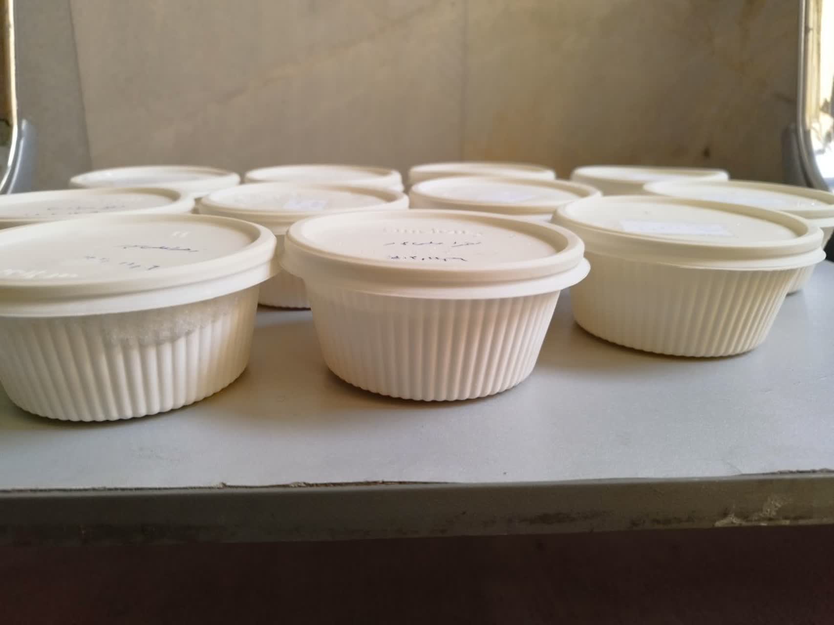 ارسال نوزدهمین محموله شیر مادر اهدایی به بیمارستان اکبرآبادی؛ گامی مؤثر در حمایت از نوزادان نارس