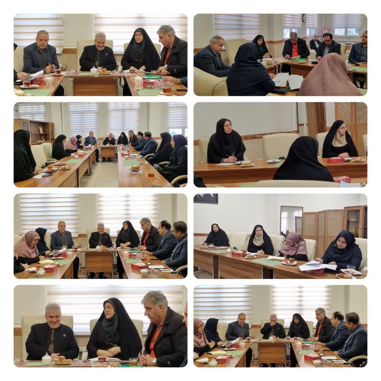 نشست شبکه مدیریت محله‌محور وحیدیه با محوریت ارائه خدمات سلامت و تبیین برنامه «شهر سالم»